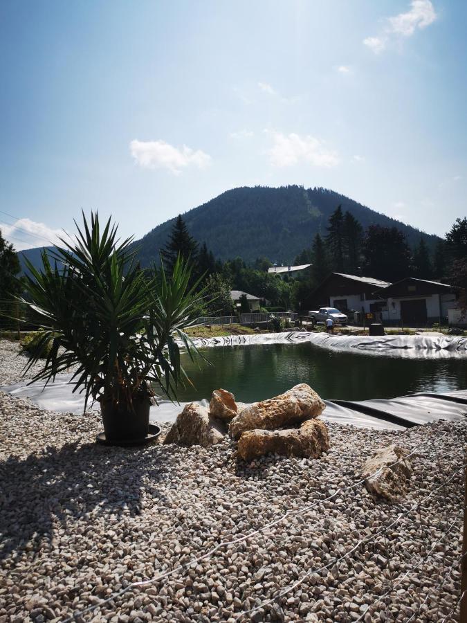 Frühstückspension Gasthof Gesslbauer 3*