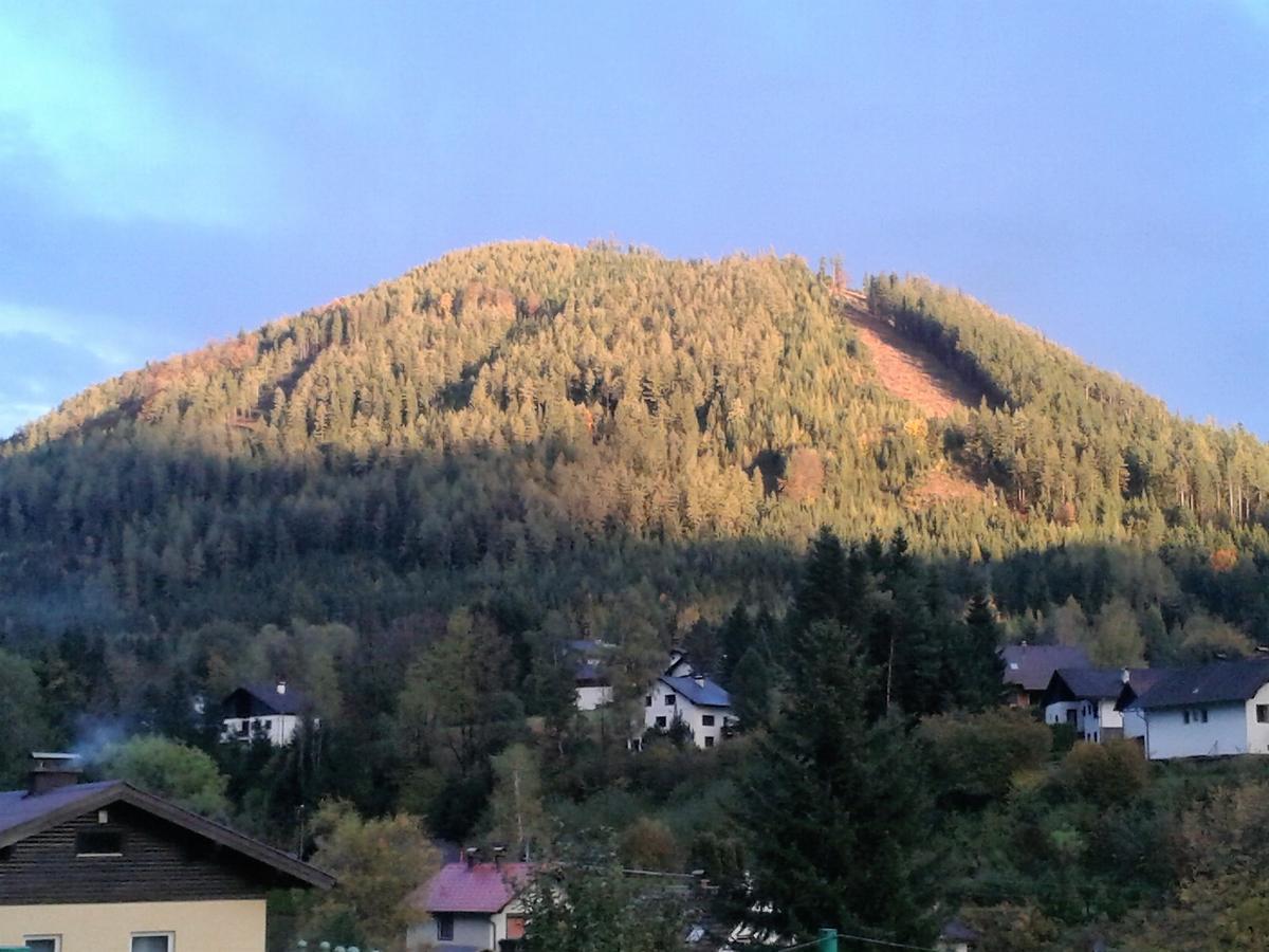 Gesslbauer Gasthof 3*